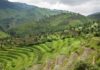 Rwanda : droits humains et impunité, les critiques persistent
