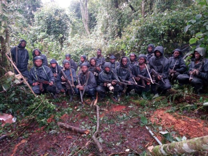 Nyungwe