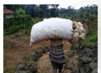 LETA Y’U RWANDA MU KWICA URUBOZO ABANYARWANDA