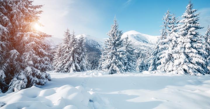 Make the Most of Your Winter With Snow Updates