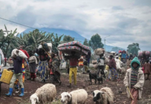 DRC: Civilians at the Heart of All For Rwanda’s Warnings