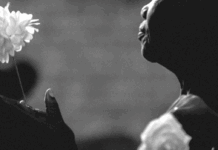 A Survivor Breaks the Silence: Alarming Revelations About Disappeared Young Women and Kigali’s Secret Operations in the DRC